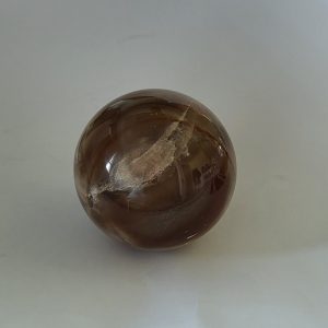 Sfera LEGNO FOSSILE diam 62 mm.