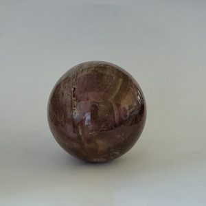 Sfera LEGNO FOSSILE diam 67 mm.