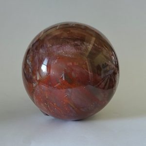 Sfera LEGNO FOSSILE diam 78 mm.