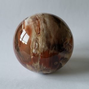 Sfera LEGNO FOSSILE diam 80 mm.
