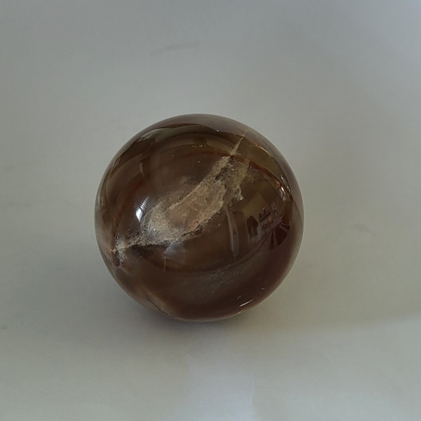 Sfera LEGNO FOSSILE diam 62 mm.